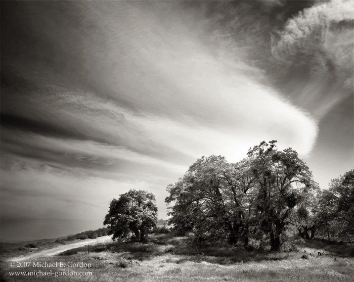 picture, photo, Old Ridge Route, oak trees, clouds, sky, black and white, fine art print
