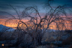 The Last Sunset