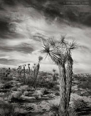 Reaching