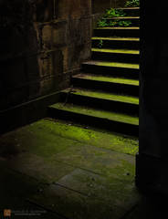 The Green Steps