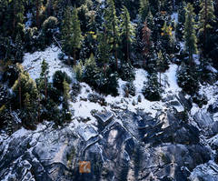 Pines on Granite, First Winter Snow