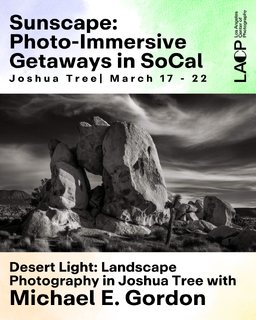Desert Light: Landscape Photography in Joshua Tree National Park