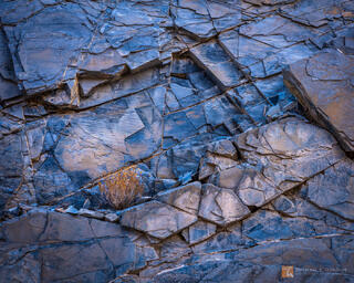 photo, picture, fine art, photograph