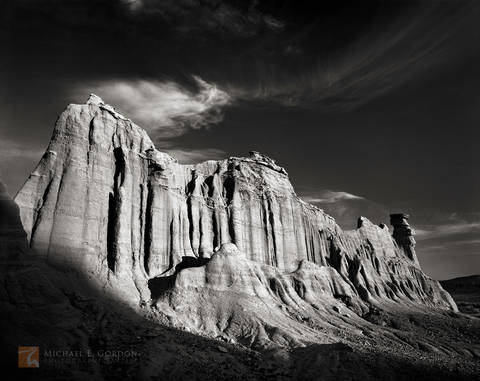 Desert Palisade