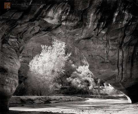 Coyote Natural Bridge
