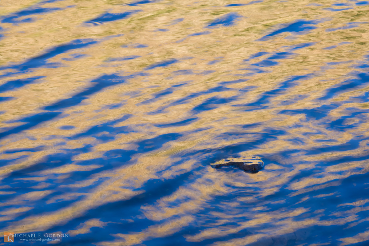 Water motion study