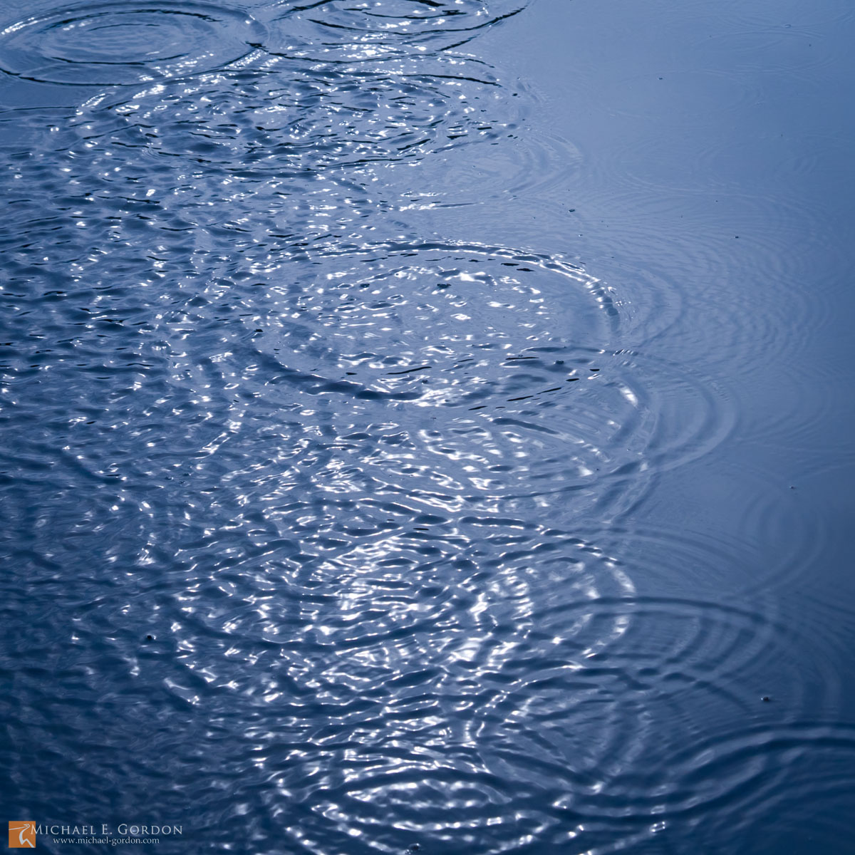 Water motion study