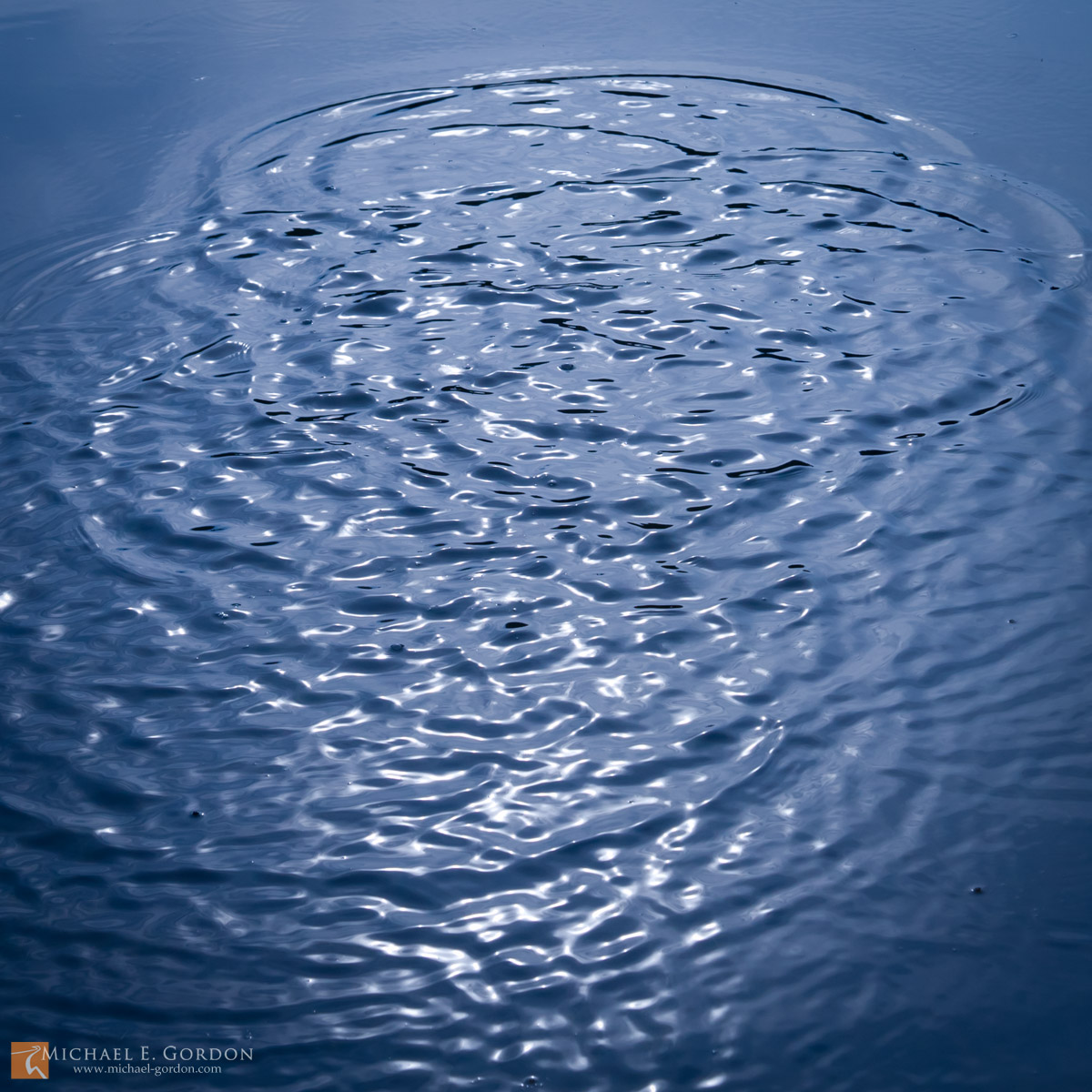 Water motion study