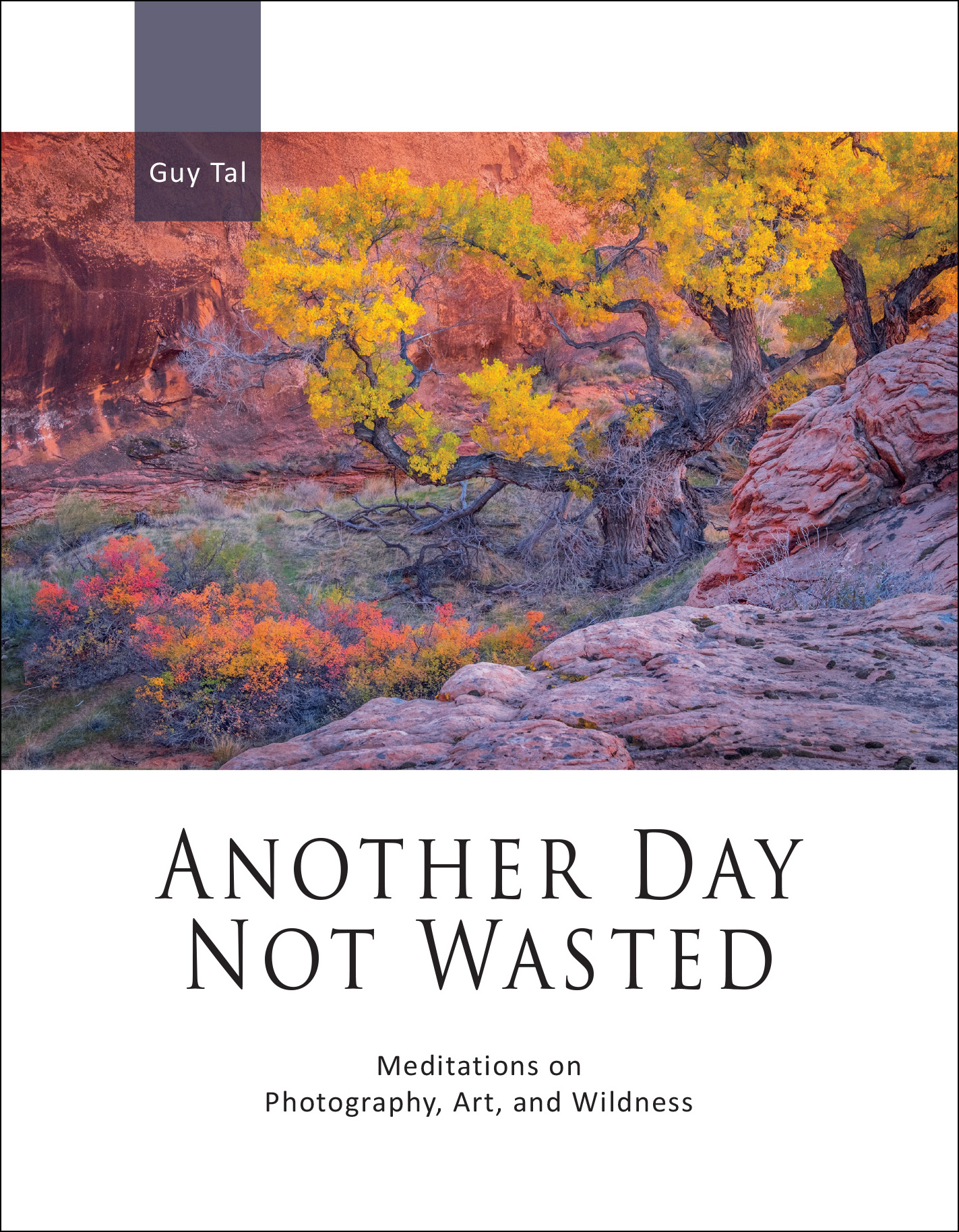Guy Tal: Another Day Not Wasted