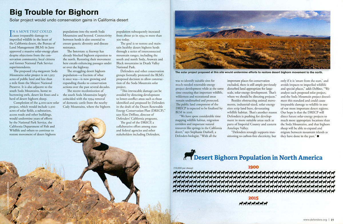 Big Trouble for Bighorn Every photograph on this website and blog can be licensed for web, print, and corporate/editorial use and for your...