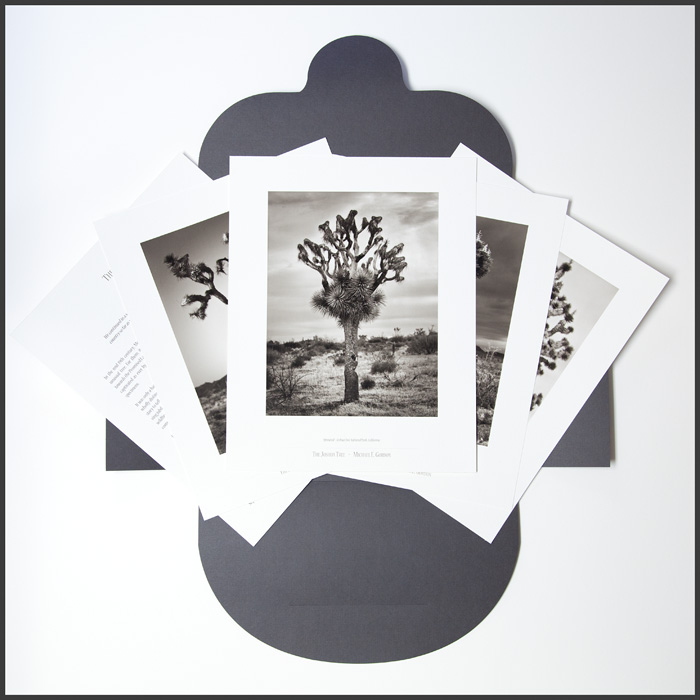 The Joshua Tree collector folio