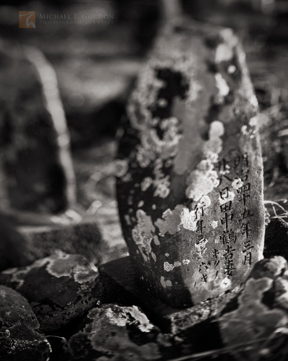 A long forgotten and lichen-covered&nbsp;grave from the WWII era on the south shore of Kaua'i.Logos and watermarks are not found...