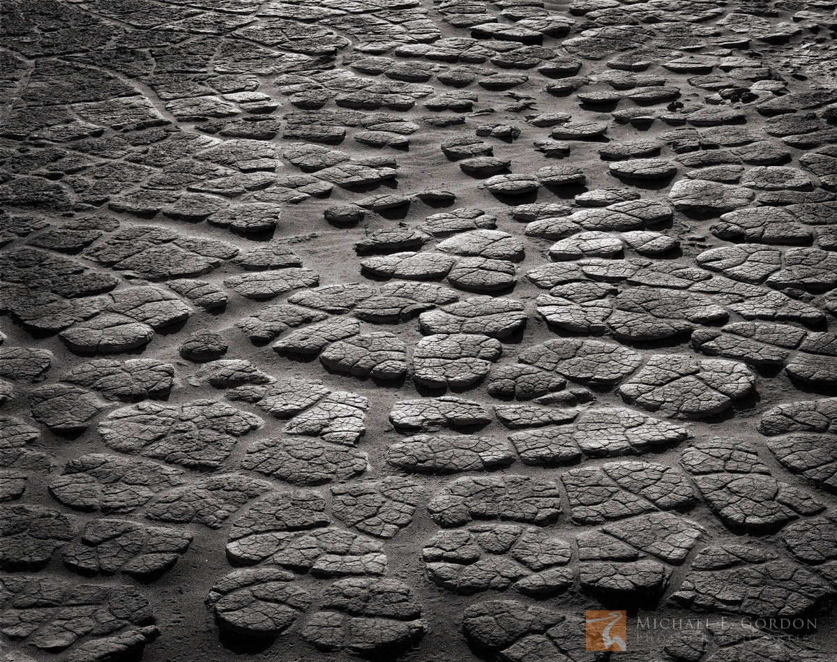 Cracked and tiled mud on the floor of Death Valley&nbsp;resembles lizard skin.Logos and watermarks are not found on any printed...