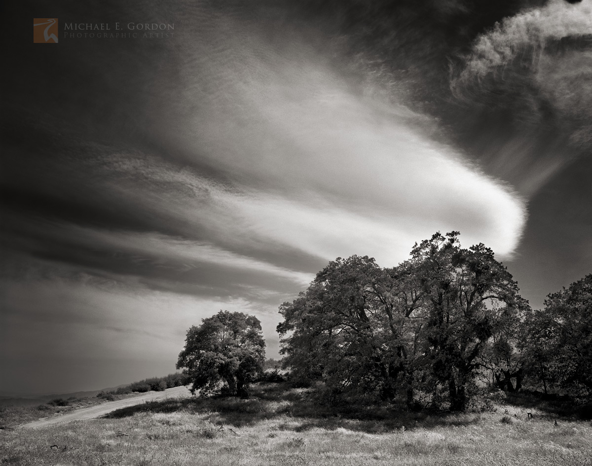 Oak trees (Quercus spp.)and the Old Ridge Route framed by large cirrus clouds.Logos and watermarks are not found on any printed...