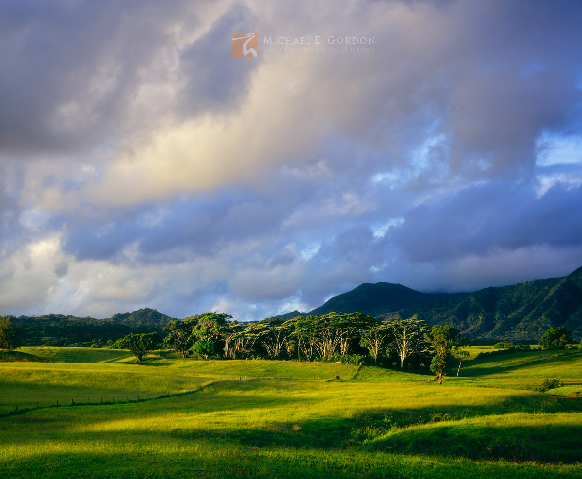 A beautiful cloud-filled sunrise over the lush trees and&nbsp;landscape of Anahola, Kaua'i.&nbsp;Logos and watermarks are not...