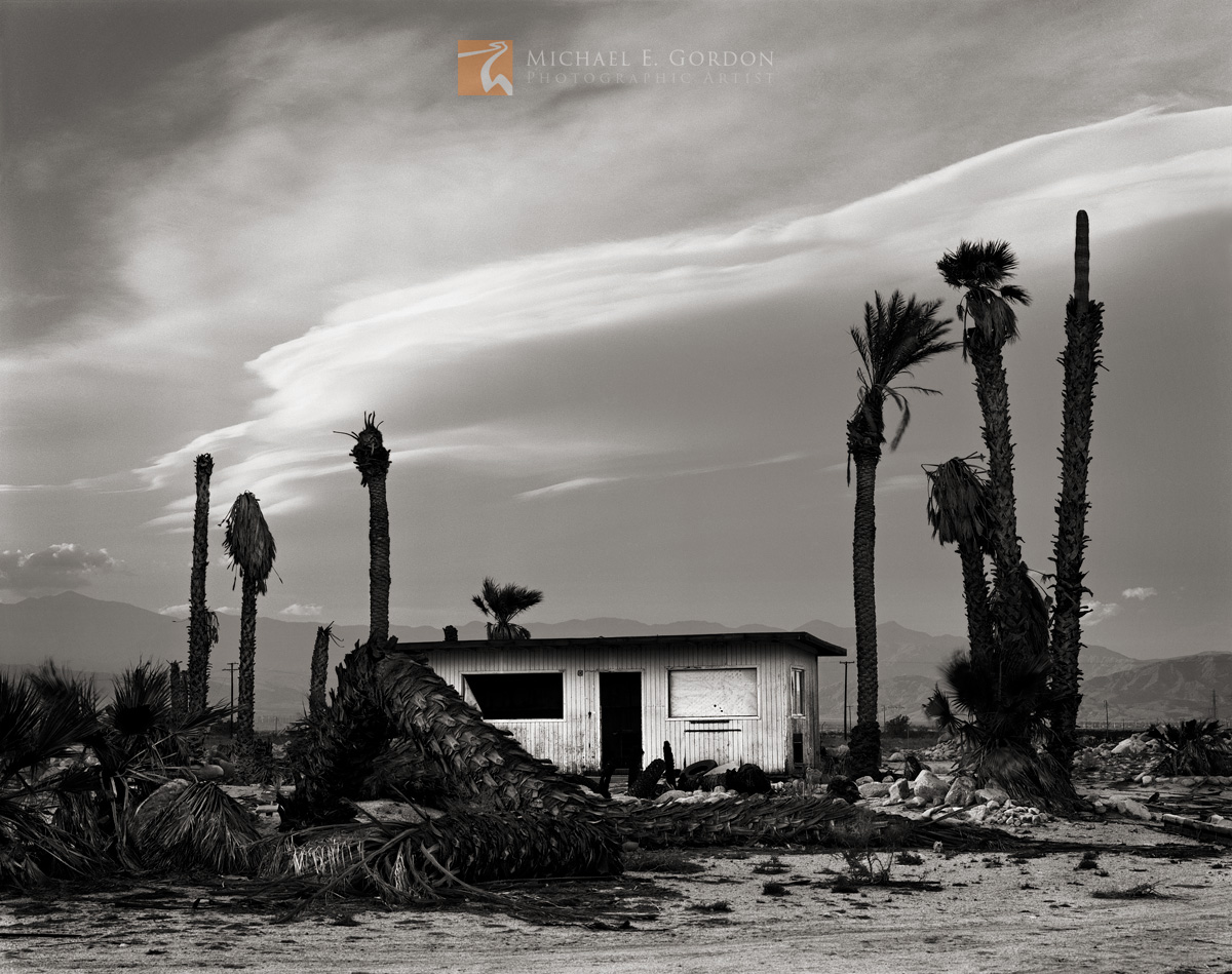An abandoned shack with dead and dying palm trees&nbsp;(Washingtonia filifera)&nbsp;framed by dramatic stacked lenticular clouds...