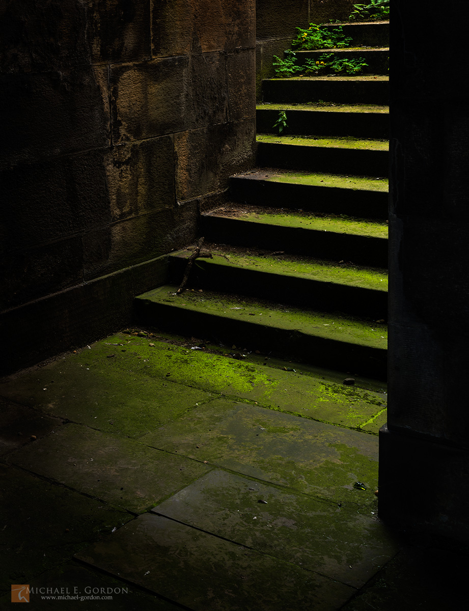Moss and flowering plants adorn the 19th century steps of the Old Royal High School, also known as the New Parliament House....