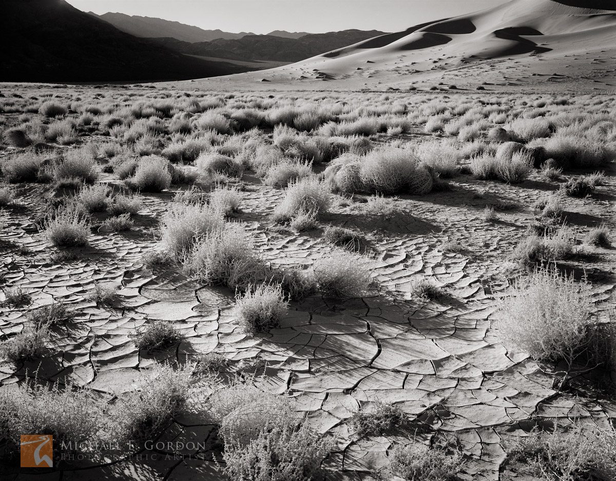 Morning light rakes tumbleweed (Salsola) and cracked mud before the Eureka Dunes and Last Chance Mountains.&nbsp;Logos and watermarks...