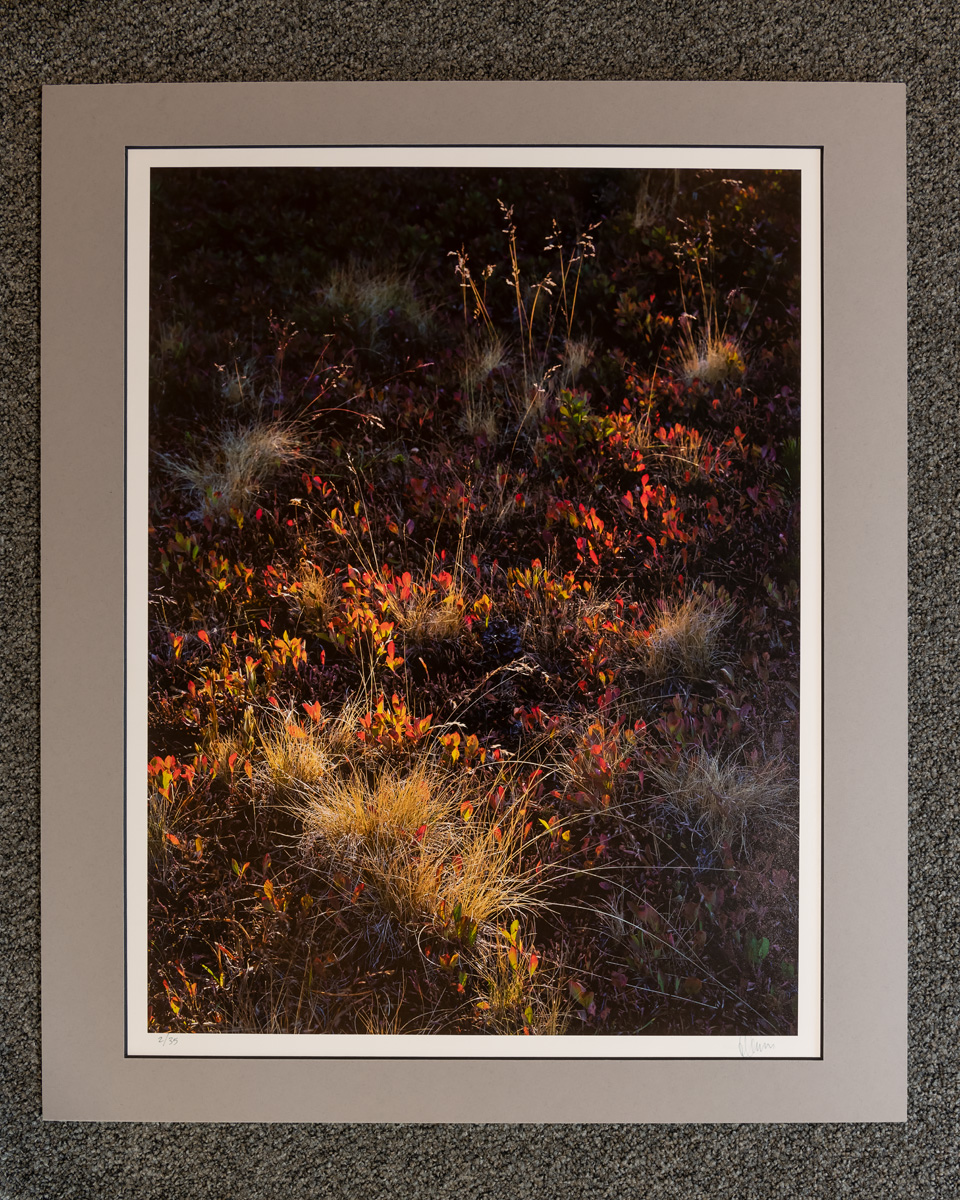 !SALE! 50% reduction on Exhibition Print. Overmat and print are flawless; back of mount may show signs of handling, wear, labels...