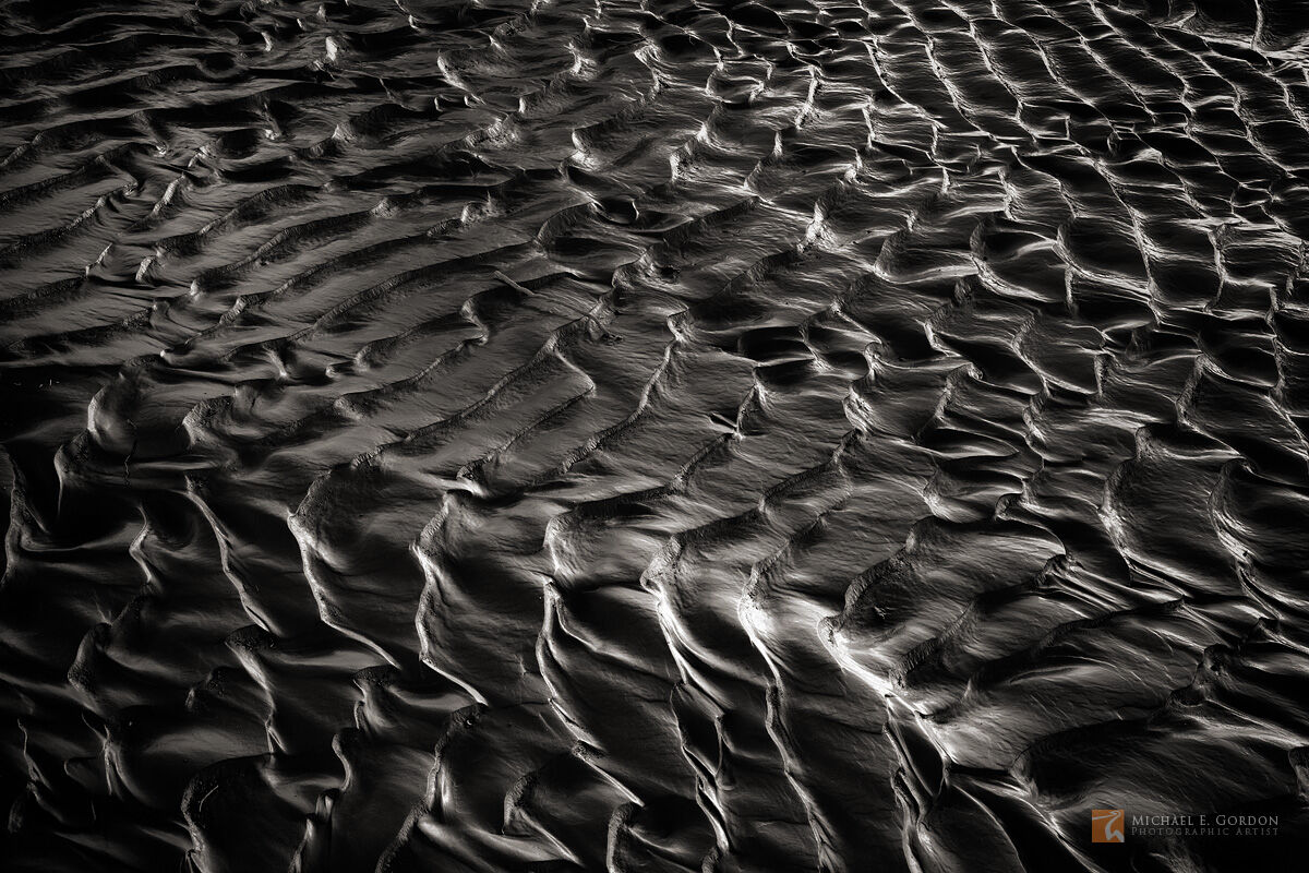 A highly sculptured and luminous mud flow post-flood resembles the scales of a snake or fictional dragon.