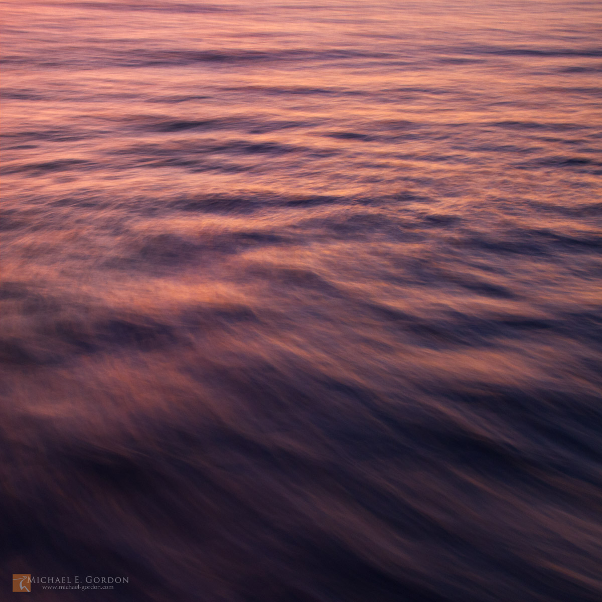 Water motion study