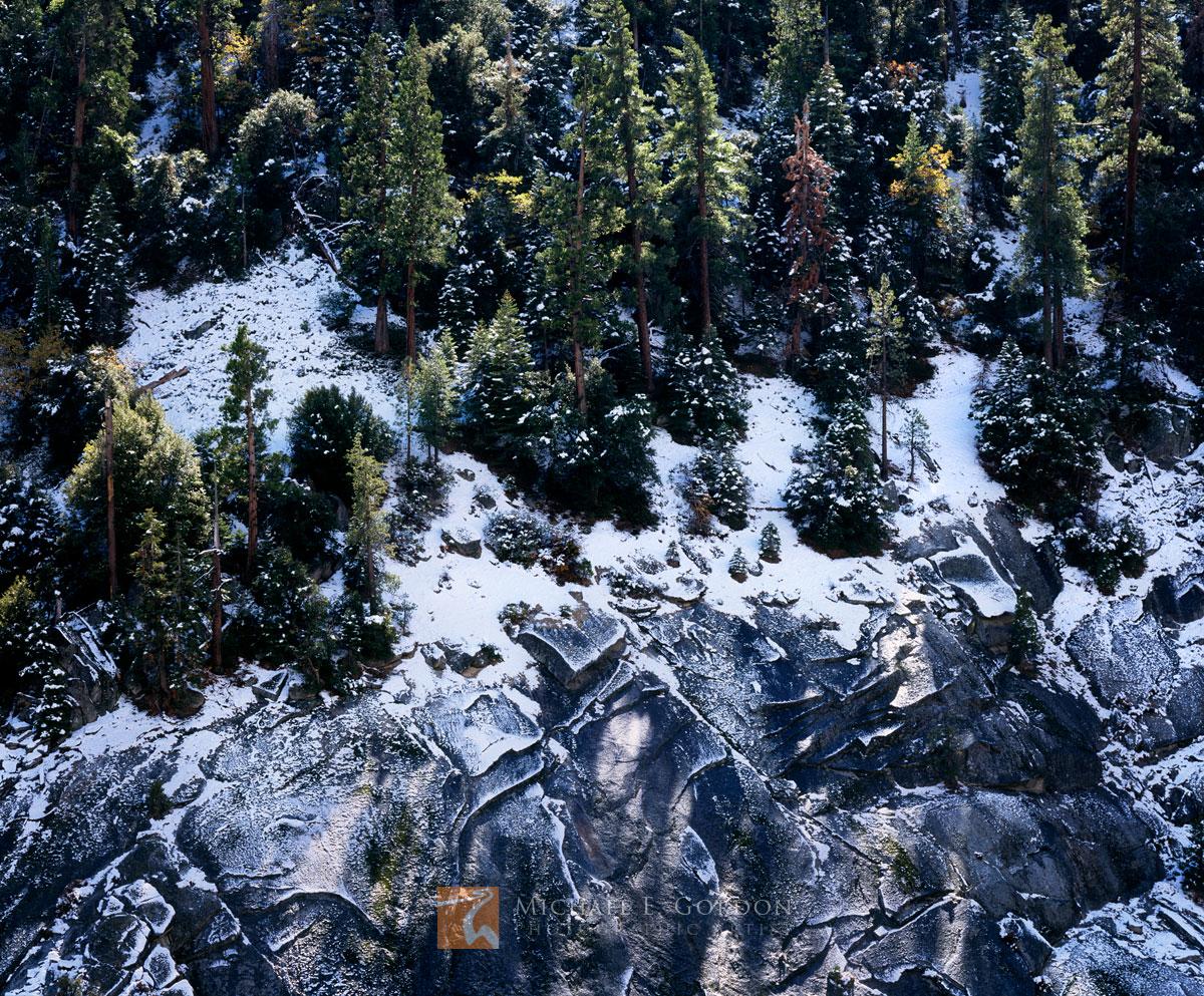 Winter's first snowfall blankets Firs and Pines on steep granite slabs.Logos and watermarks are not found on any printed product...